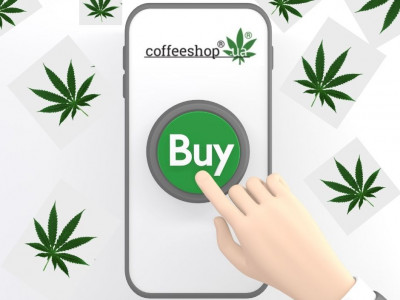 How to buy cannabis seeds online