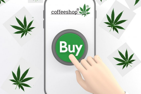 Можно ли покупать семена марихуаны в интернете
