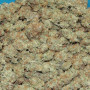 Семена конопли Original AUTO CHEESE от Fast Buds