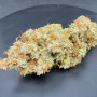 Семена конопли Z-Up Auto™ от Fast Buds