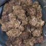 Семена конопли TROPICANA Cookies Auto от Fast Buds