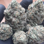 Семена конопли LEMONPAYA ™ от Fast Buds