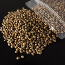 Промышленные бытовые семена конопли - 200 грамм
