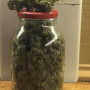 Сорт семян каннабиса Auto Gagarin Feminized
