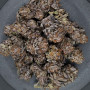 Семена конопли BISCOTTI GELATO™ от Fast Buds