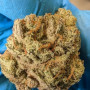 Семена конопли Original AUTO CHEMDAWG от Fast Buds