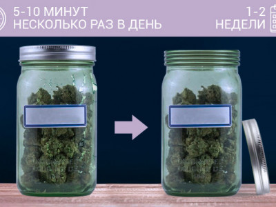 Proper cannabis treatment