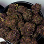 Семена конопли PURPLE HAZE Auto™ от Fast Buds