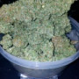 Семена конопли STARDAWG Auto от Fast Buds