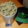Cannabis seeds CBD Auto 1:1 (CBD CRACK) from Fast Buds