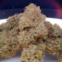 Сорт семян каннабиса Green Gelato