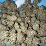 Семена конопли LEMONPAYA ™ от Fast Buds