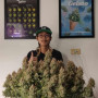 Семена конопли Wedding GLUE Auto от Fast Buds