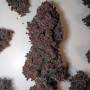 Семена конопли PURPLE LEMONADE Auto от Fast Buds