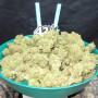 Семена конопли Original AUTO TRAINWRECK от Fast Buds