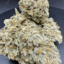 Семена конопли Original AUTO OG KUSH от Fast Buds