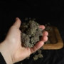 Семена конопли LEMON CHERRY RUNTZ ™ от Fast Buds