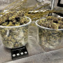Сорт семян каннабиса Auto Tangie