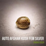 Cannabis seed variety Auto AFGHAN KUSH Feminised Silver