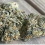 Семена конопли Bruce Banner от Barney's Farm