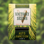 Семена конопли Auto AMNESIUM от Victory Seeds