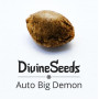 Cannabis seed variety Auto Big Demon