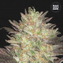 Cannabis seeds AUTO LAVENDER BEST from Bulk Seed Bank