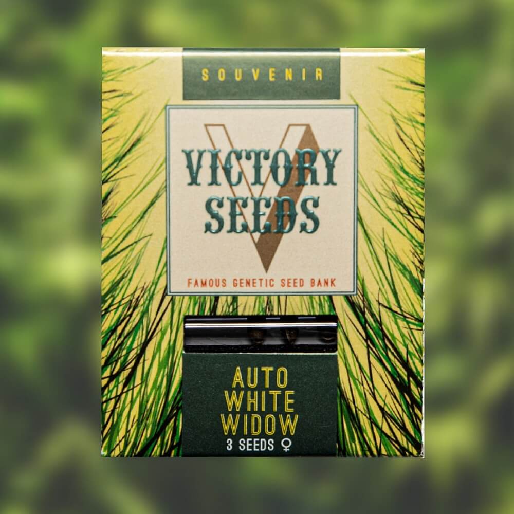 Семена конопли Auto WHITE WIDOW oт Victory Seeds