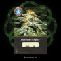 Cannabis seed variety Northern Lights