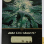 Сорт насіння канабісу Auto CBD Monster