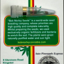 Сорт семян каннабиса Auto Pineapple Express