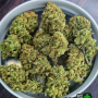Насіння конопель BRUCE BANNER Auto від Fast Buds