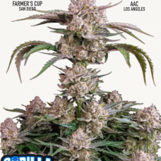 STRAWBERRY GORILLA Auto