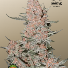 ZTRAWBERRIEZ Auto