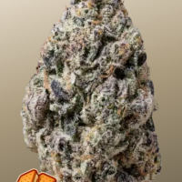 BISCOTTI GELATO™