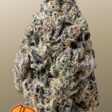 BISCOTTI GELATO™