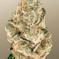 GORILLA MELON ™