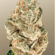 GORILLA MELON ™