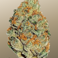 LEMON MANDARIN ™