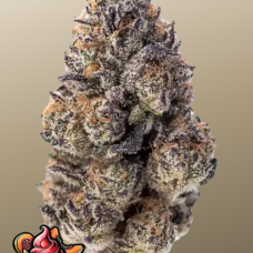 PAPAYA SHERBET ™