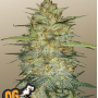 Семена конопли Original AUTO OG KUSH от Fast Buds