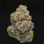 Семена конопли Glueberry O.G.® от Dutch Passion