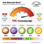 Семена конопли Auto Melonade Runtz® NEW! от Dutch Passion