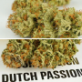 Семена конопли Auto Mokum’s Tulip® от Dutch Passion