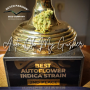 Семена конопли Auto Oh My Gusher® от Dutch Passion