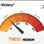 Семена конопли Auto THC-Victory® от Dutch Passion