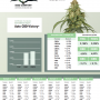Семена конопли Auto CBD-Victory® от Dutch Passion