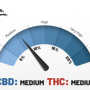Семена конопли Auto CBD White Widow® от Dutch Passion