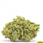 Семена конопли Auto CBD White Widow® от Dutch Passion
