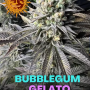 Семена конопли Bubblegum Gelato от Barney's Farm